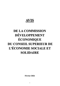 Avis du CSESS sur les pistes de développement de l' ESS - février 2026